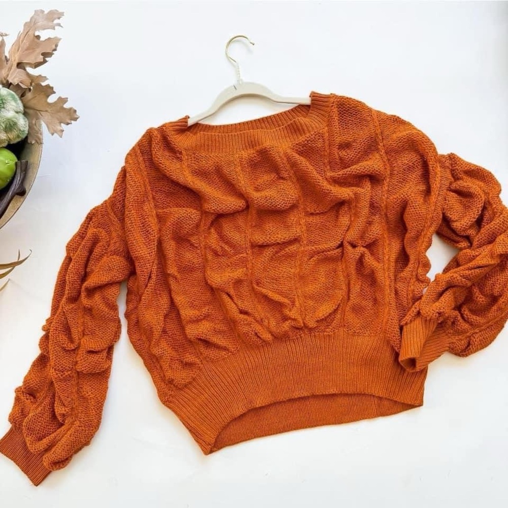 NWT’s Blue B sweater